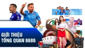 6686 – Nhà cái uy tín với kho game đa dạng và cơ hội nhận thưởng khủng