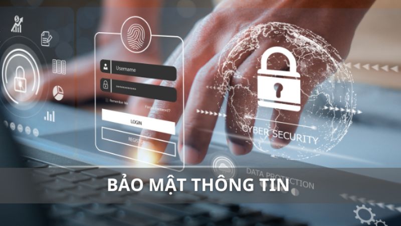 Luật Tài Xỉu - Hướng Dẫn Chi Tiết Cho Người Mới Bắt Đầu