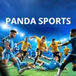Panda Sports – Sảnh game cá cược thể thao với tỷ lệ hấp dẫn