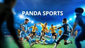 Panda Sports – Sảnh game cá cược thể thao với tỷ lệ hấp dẫn