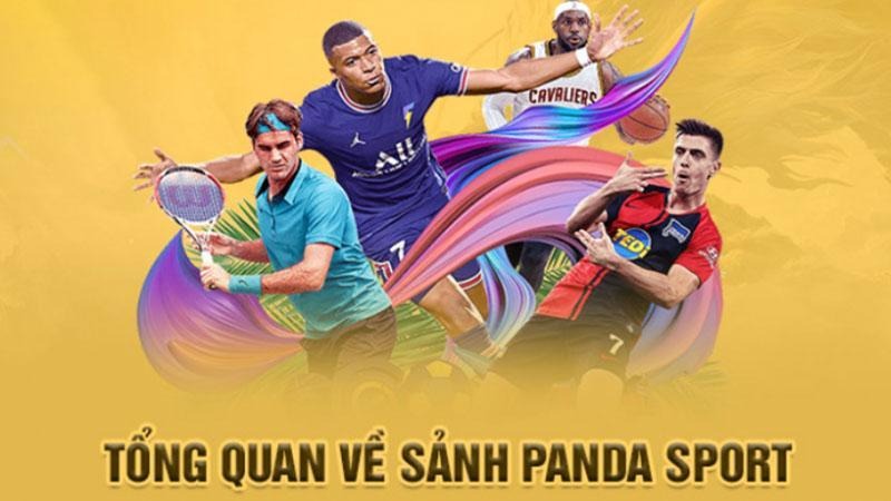 Panda Sports - Sảnh game cá cược thể thao với tỷ lệ hấp dẫn