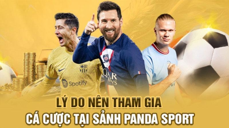 Panda Sports - Sảnh game cá cược thể thao với tỷ lệ hấp dẫn