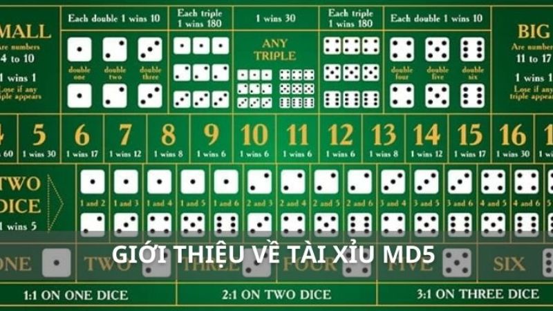 Chia Sẻ Kinh Nghiệm Chơi Tài Xỉu MD5 Hiệu Quả Cho Newbie