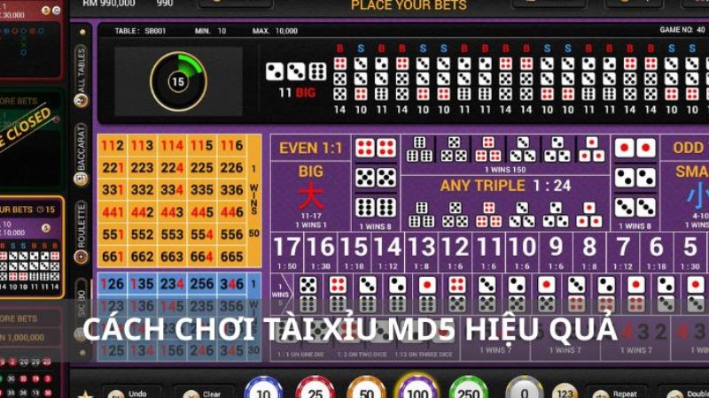 Chia Sẻ Kinh Nghiệm Chơi Tài Xỉu MD5 Hiệu Quả Cho Newbie