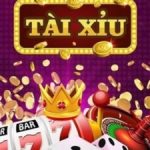 Game Bài Suvip Tài Xỉu Và Những Lưu Ý Khi Tham Gia Cá Cược
